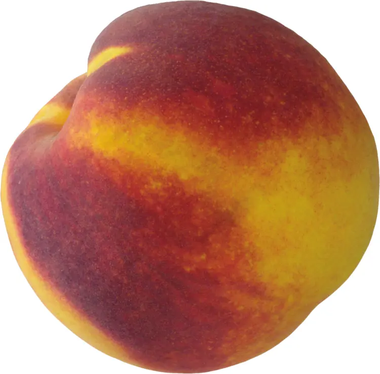 Fresh Juicy Peach