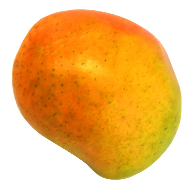 Ripe Tropical Mango