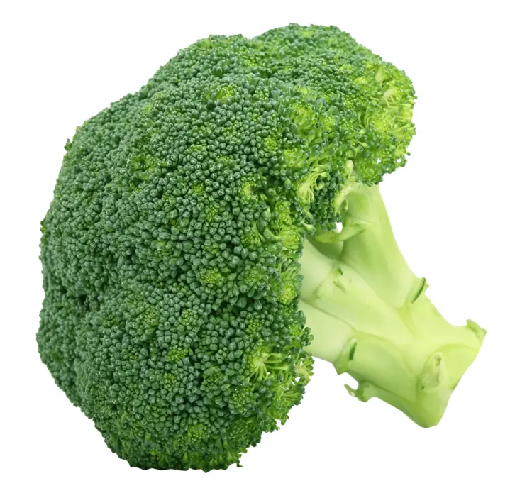 Fresh Green Broccoli