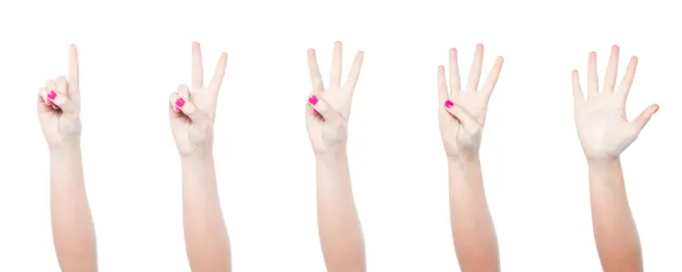 Hands Counting Numbers