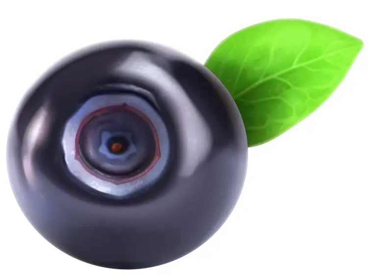 Single Blueberry with Leaf