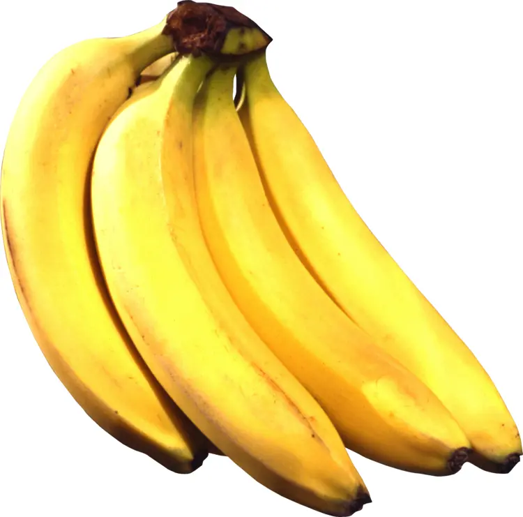 Fresh Bunch of Bananas