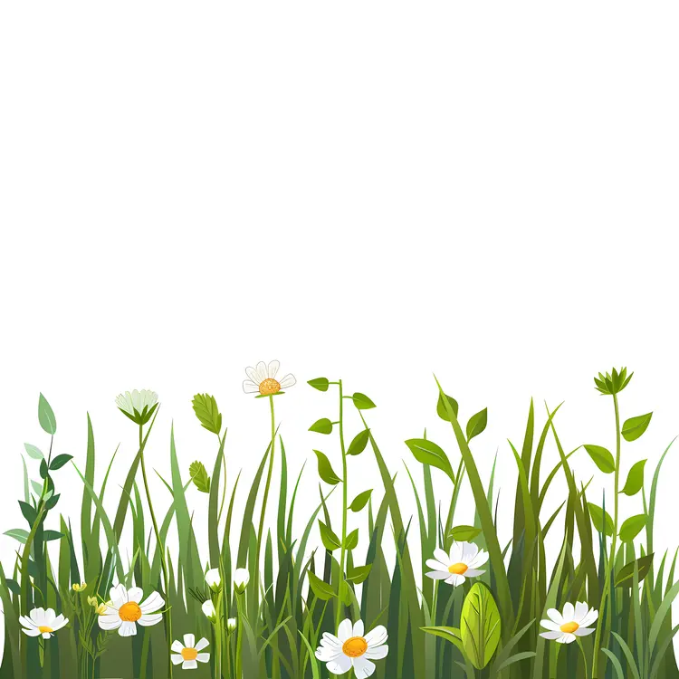 Fresh Wildflowers and Grass