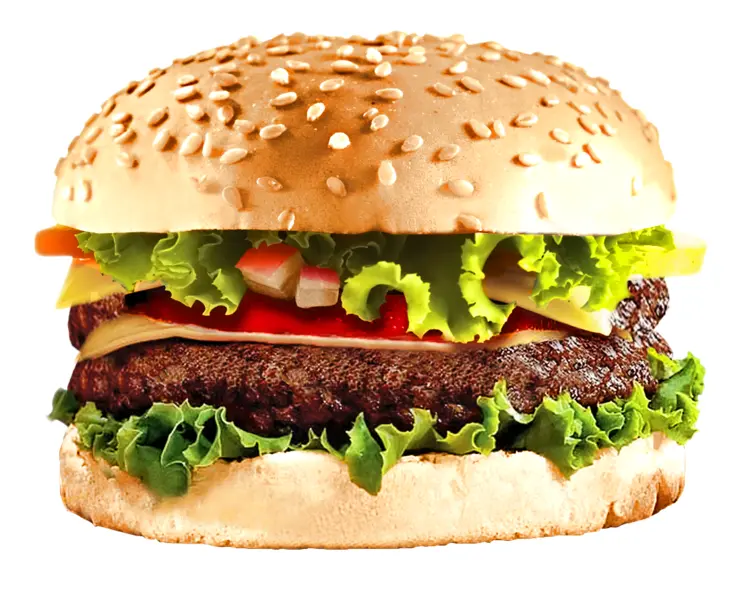 Delicious Double Cheeseburger