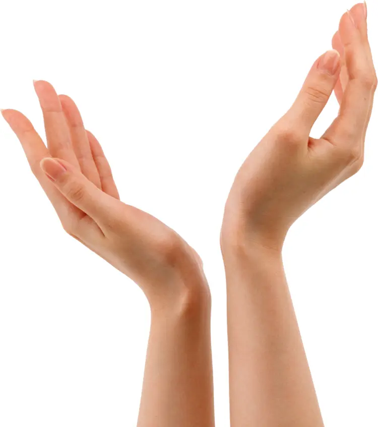 Hands Raised Upwards