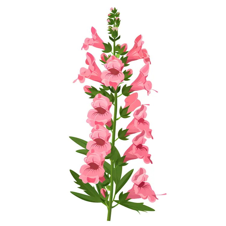 Pink Blooming Flowers Illustration