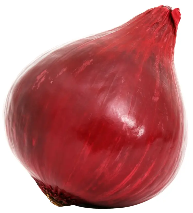 Fresh Red Onion Vegetable
