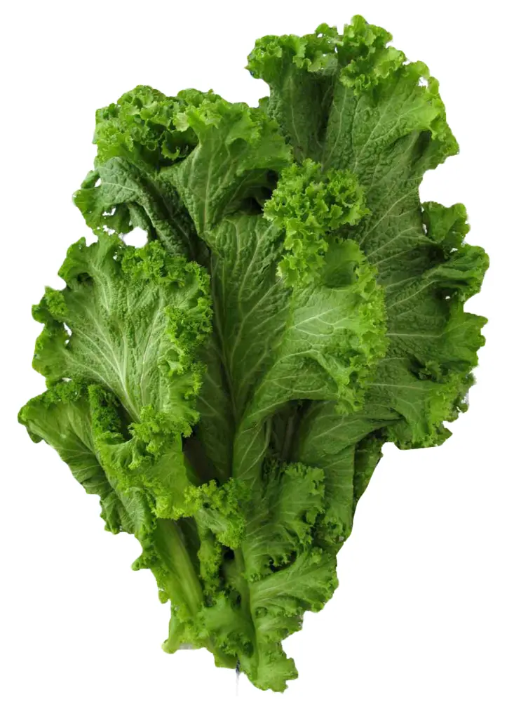 Fresh Mustard Greens