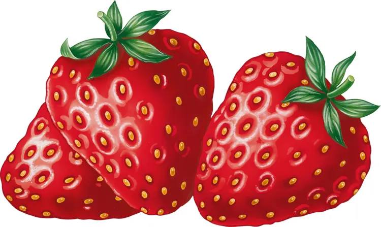 Juicy Red Strawberries