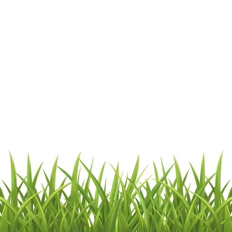 Green Grass Blades