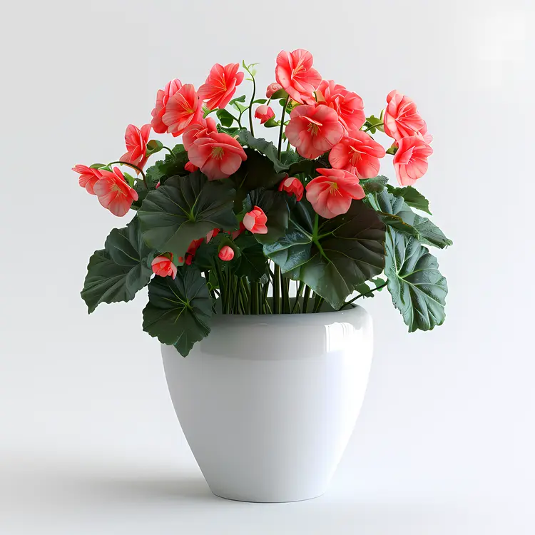 Pink Flowers in a White Pot