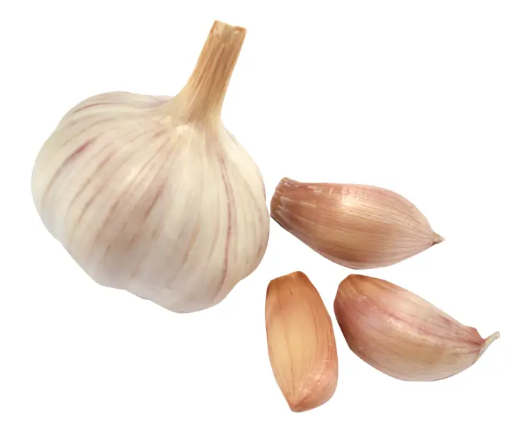 Garlic Bulb with Cloves
