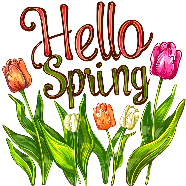 Colorful Tulips for Spring