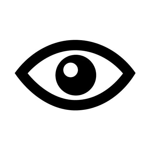 Simple Black Eye Icon