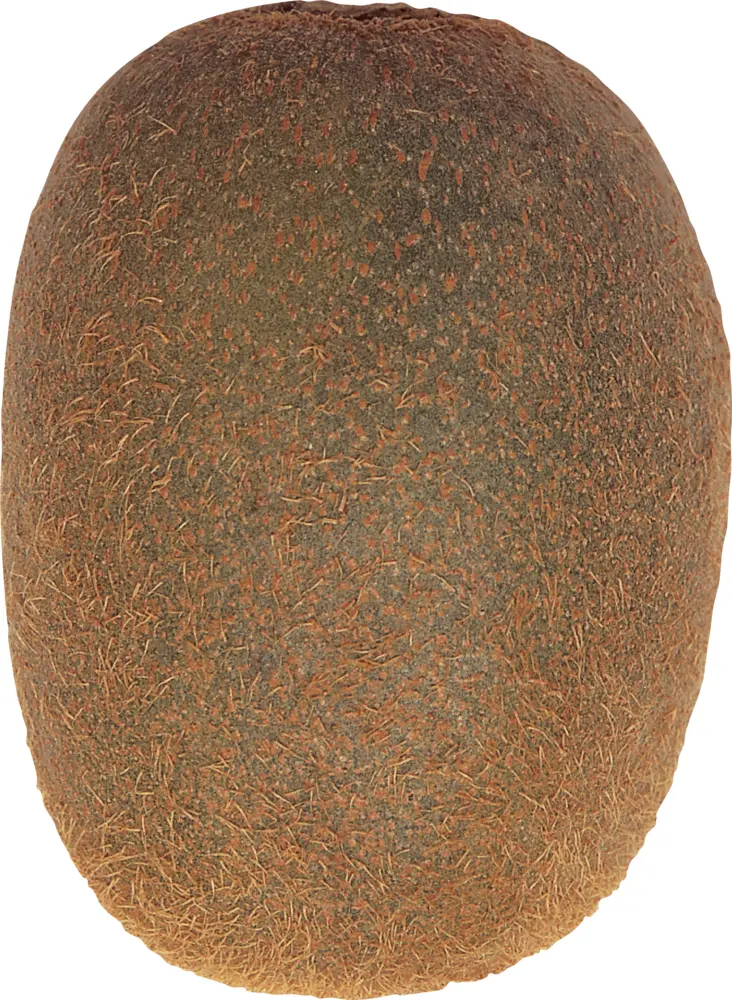 Brown Fuzzy Kiwi Fruit