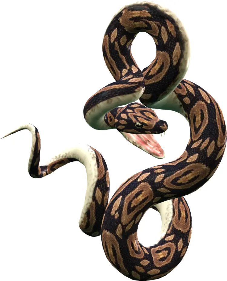 Brown and Black Snake in Motion