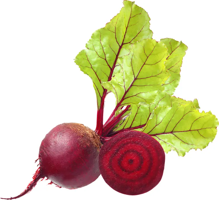 Sliced Beetroot with Leaves