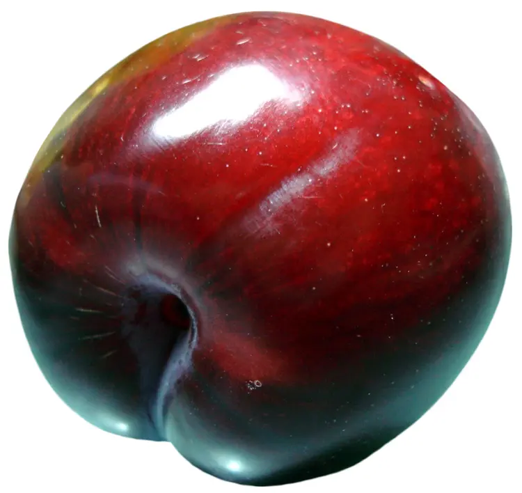 Single Red Plum