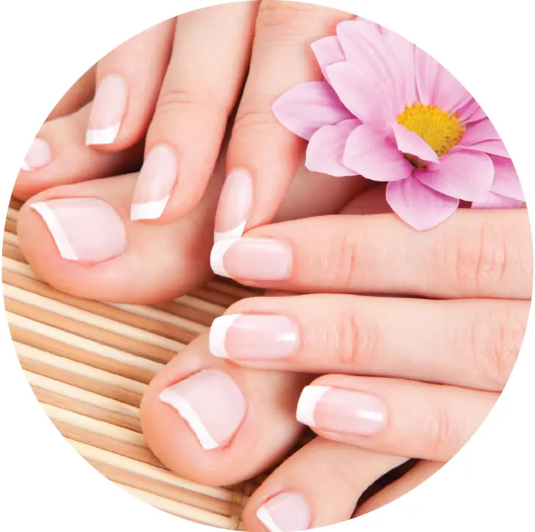 Classic French Manicure