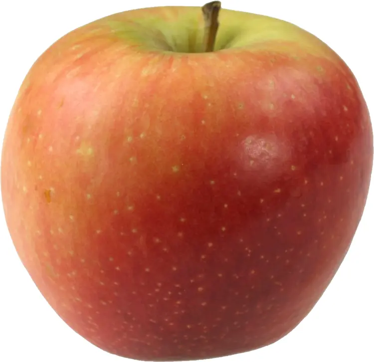Fresh Juicy Red Apple