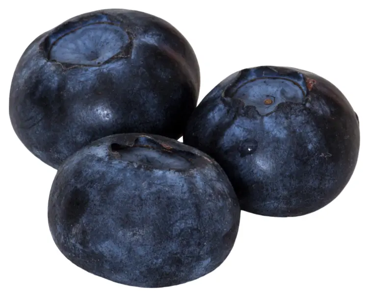 Fresh Blueberries