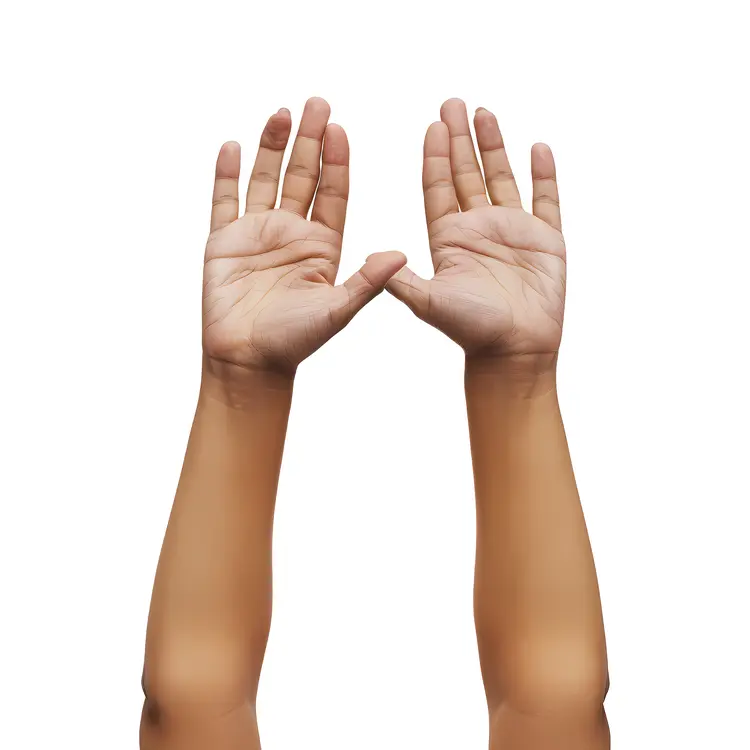 Raised Hands Gesture for Celebration