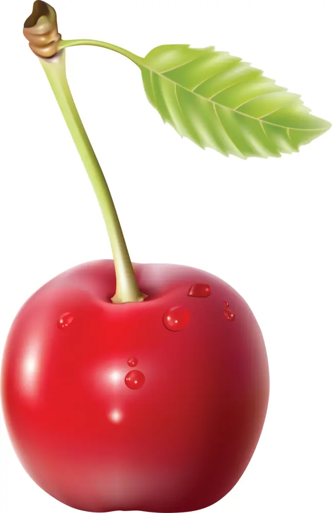 Single Red Cherry with Stem and Leaf
