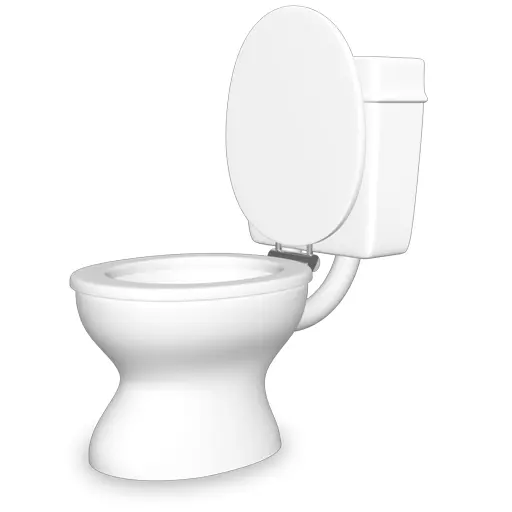 White Toilet with Open Lid