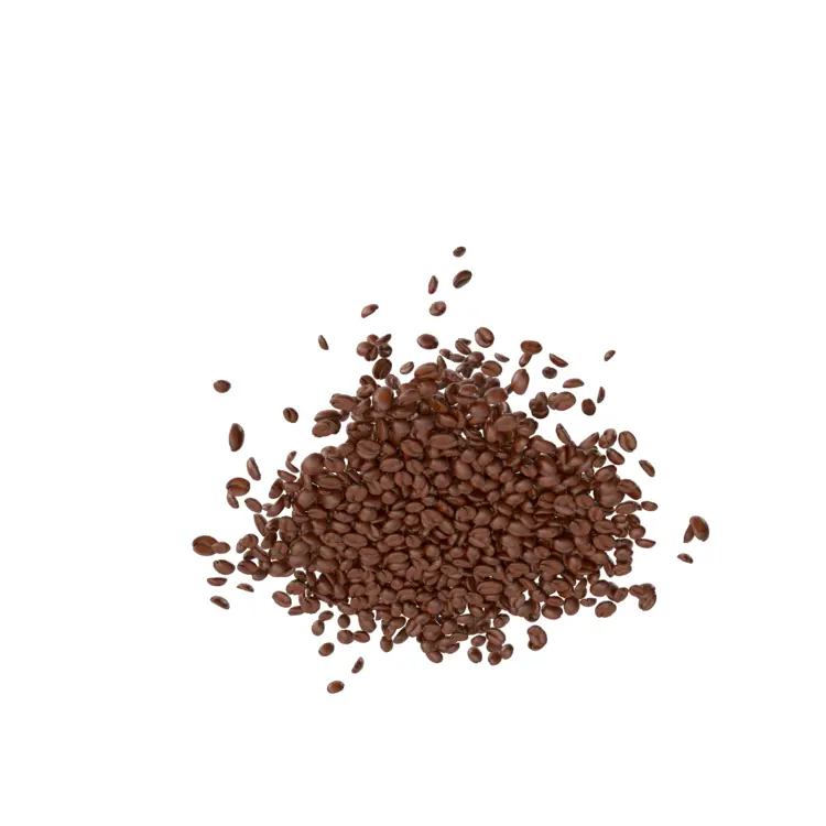 Pile of Brown Seeds