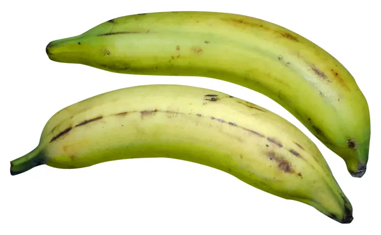 Green Plantains for Cooking