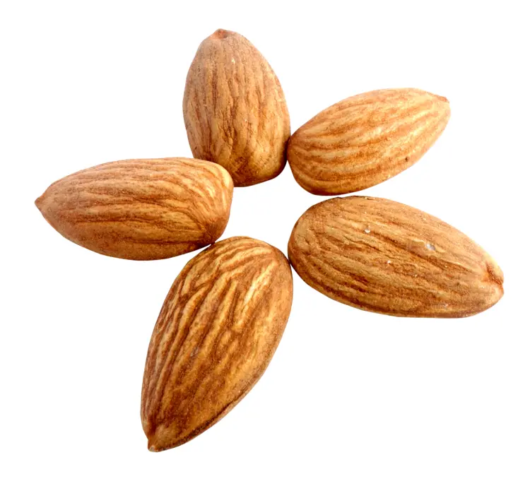 Star-Shaped Arrangement of Brown Almonds