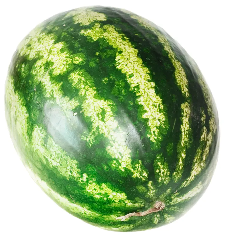 Green Oval Watermelon