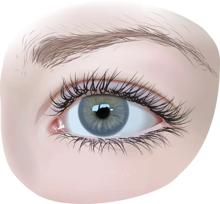 Detailed Blue Eye Illustration