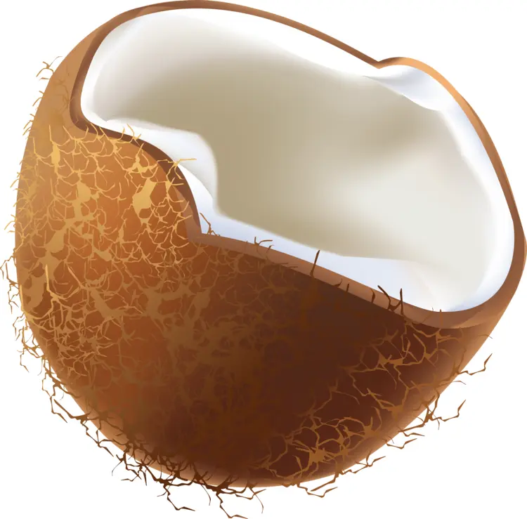 Broken Coconut with White Flesh