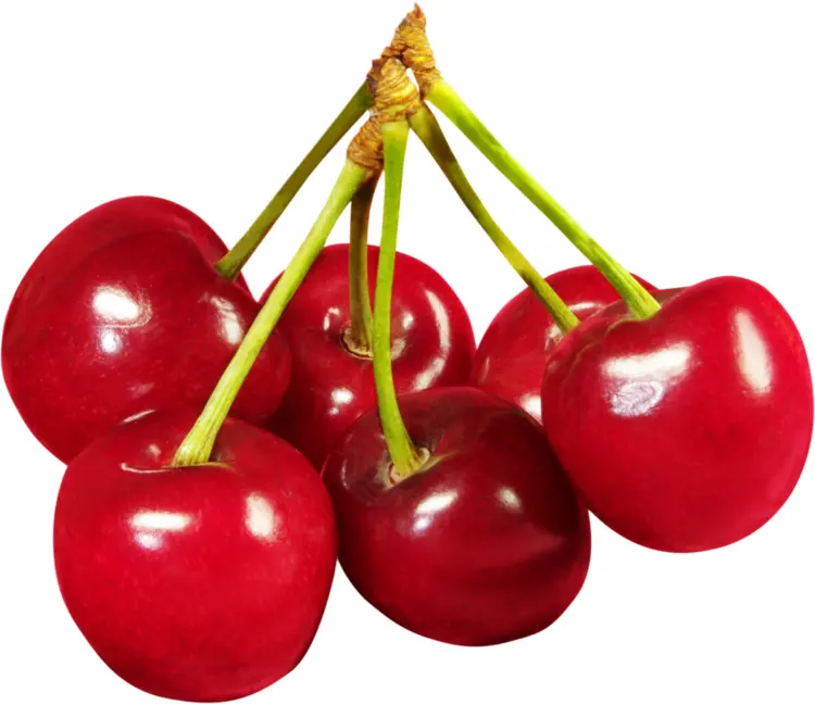 Fresh Red Cherries
