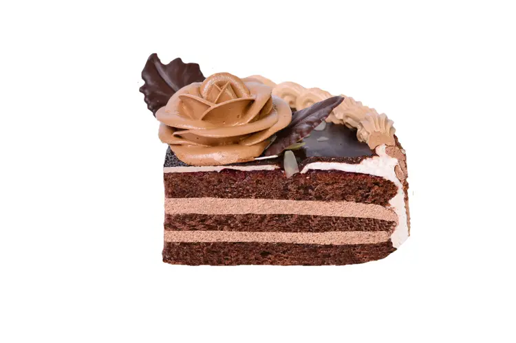 Delicious Chocolate Cake Slice
