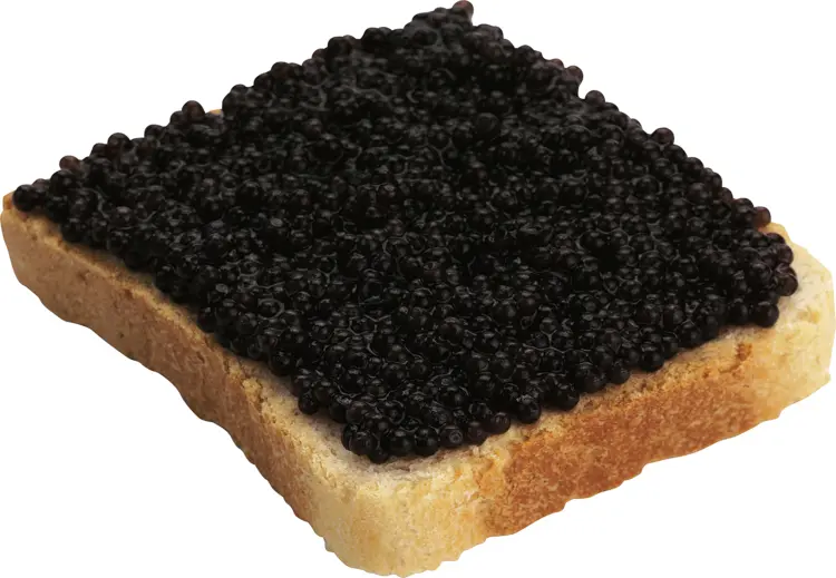 Gourmet Black Caviar on Toast