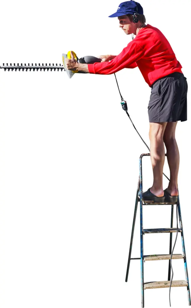 Man Trimming Hedge with Electric Trimmer