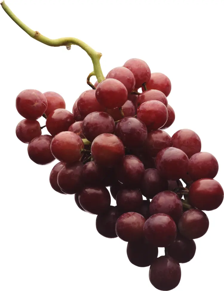 Bunch of Red Grapes