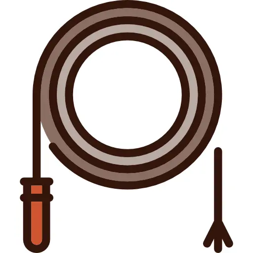 Coiled Brown Whip with Handle