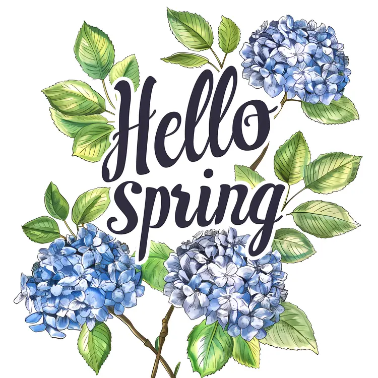 Beautiful hydrangeas in spring