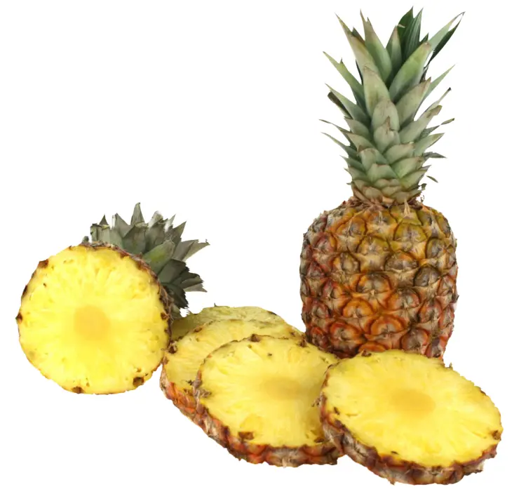 Juicy Pineapple Slices and Whole Pineapple