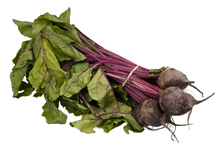 Fresh Bunch of Beetroot