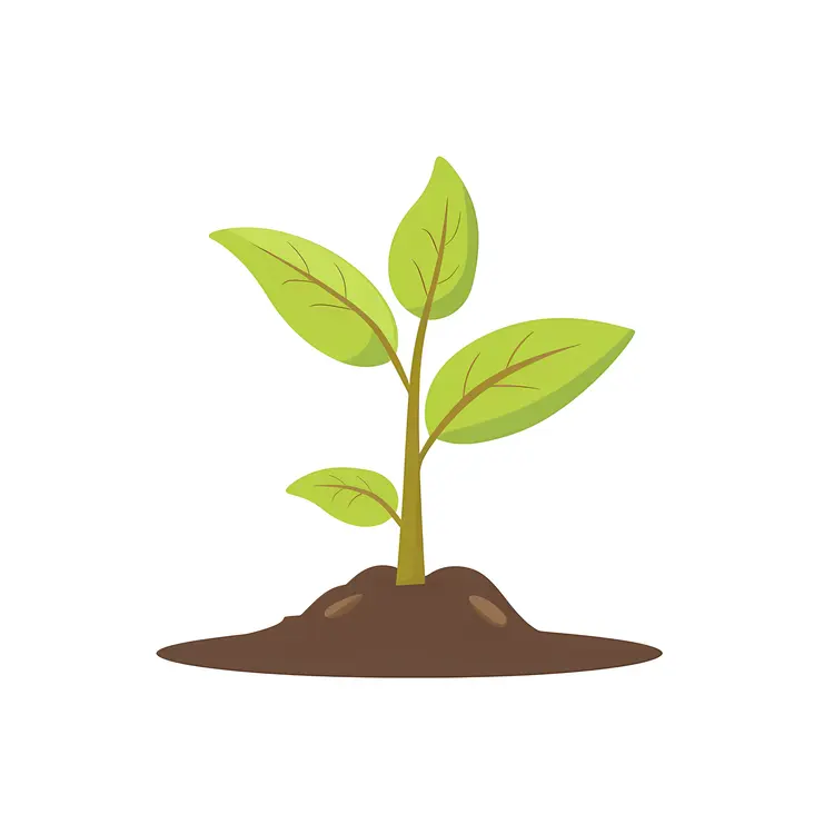 Green Plant Growing in Soil