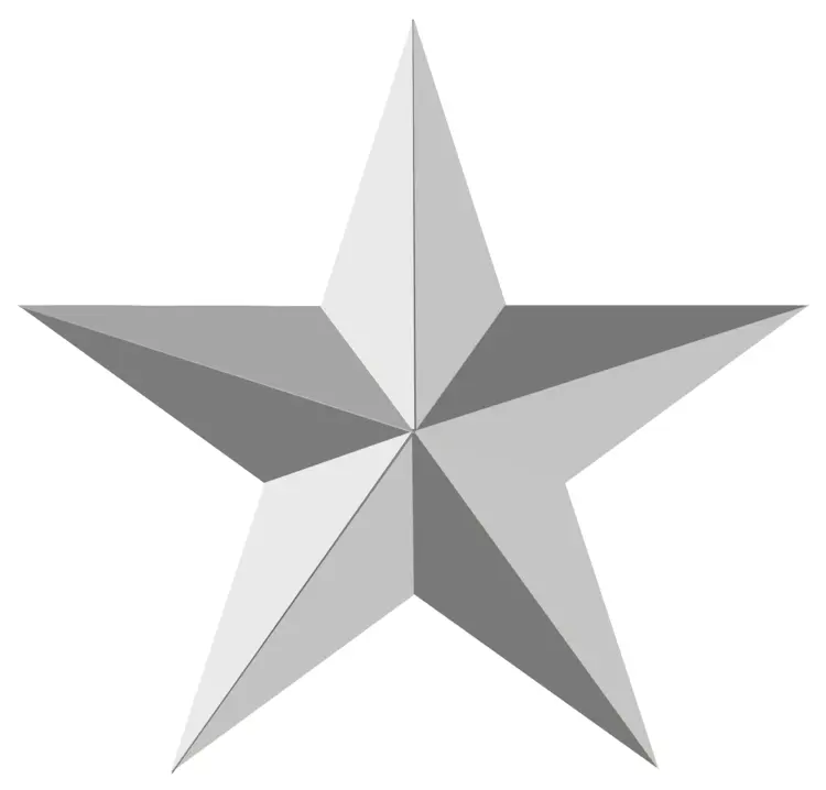 Shiny Silver Star Decoration