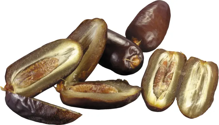 Brown Dried Dates with Seeds