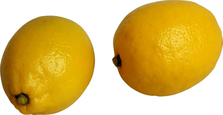Yellow Lemon Fruit