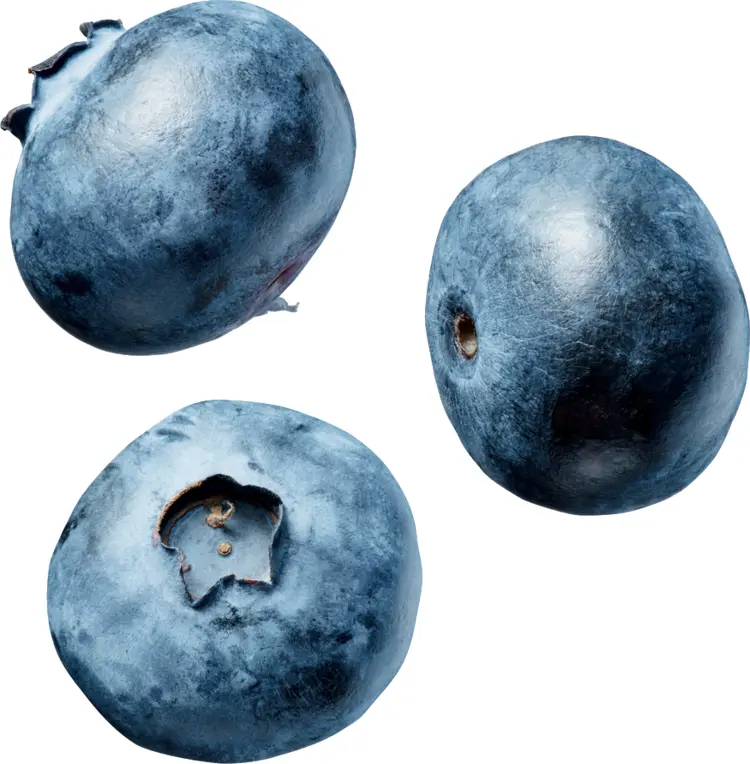 Three Blueberries Close-up