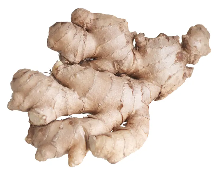 Fresh Ginger Root for Cooking