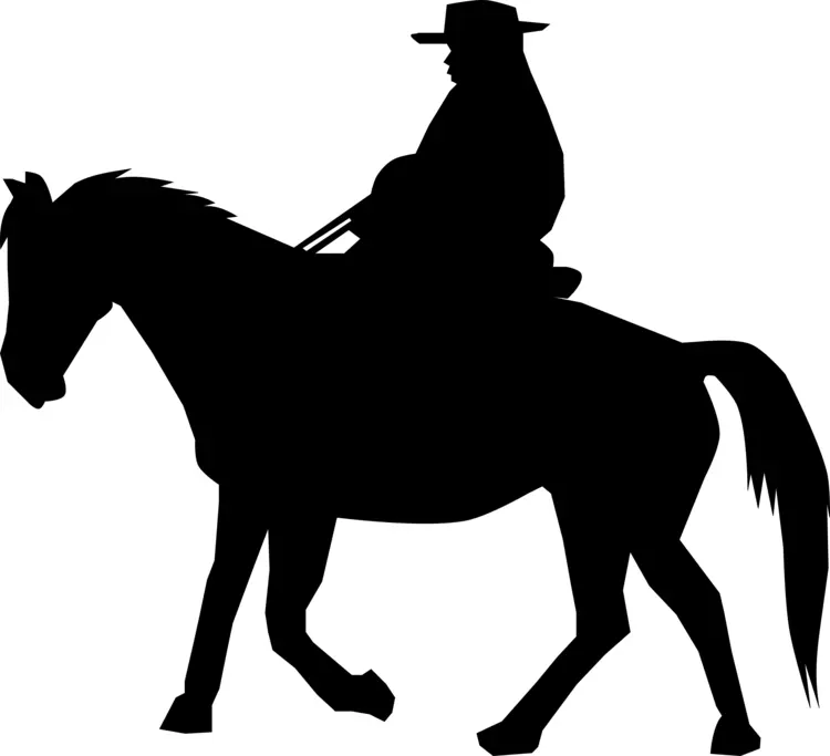 Silhouette of a person on a horse